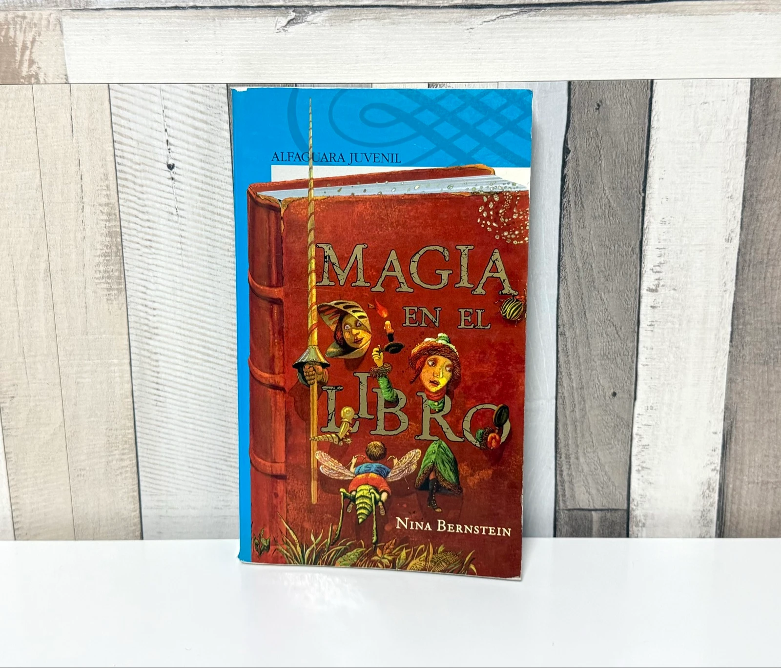 Libro Magia en el libro